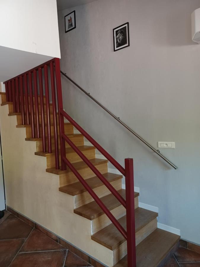 Les Meublés de Lassou Gîte Lombers Esterno foto